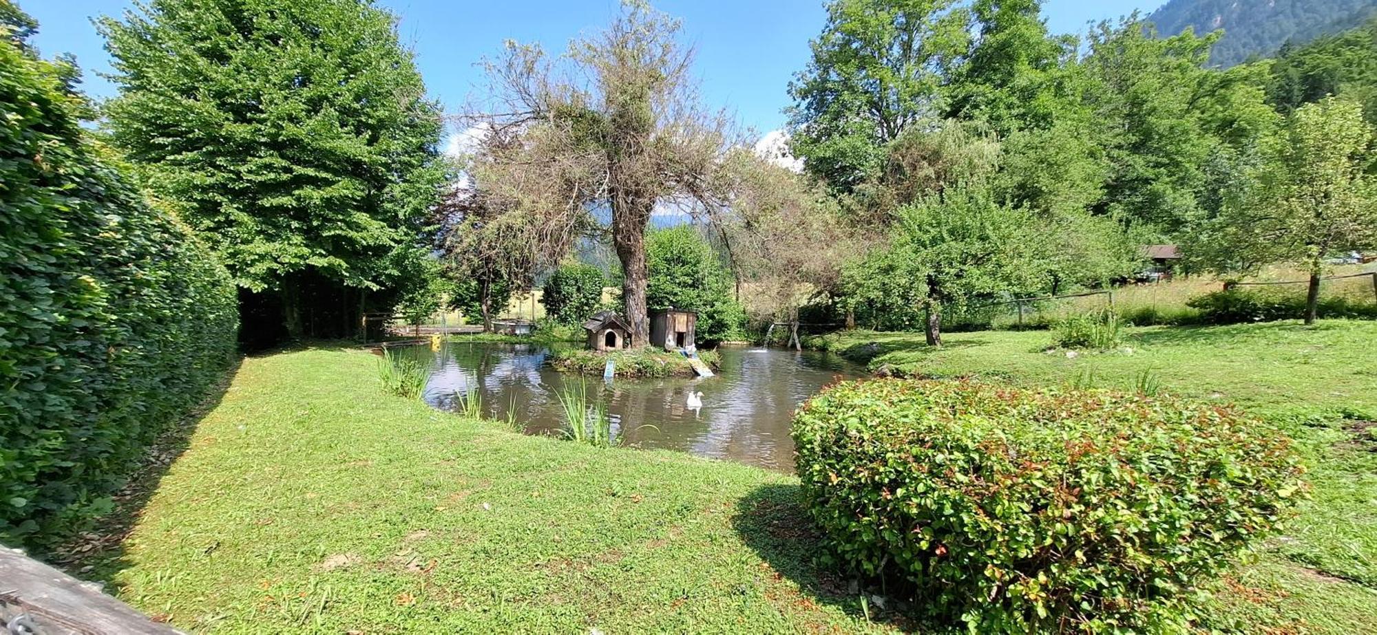 Ferienwohnungen Schloss Wasserleonburg Noetsch Exterior photo